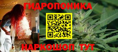 крисы Обнинск