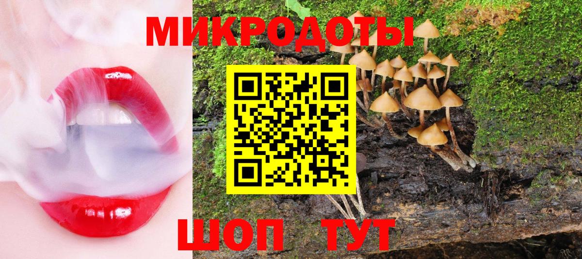 Пугачёв  Псилоцибиновые грибы мухоморы  Галлюциногенные грибы Cubensis  Вход с VPN 