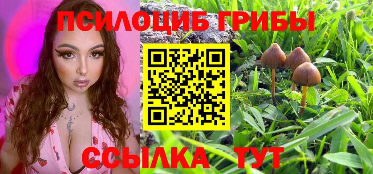 Галлюциногенные грибы мухоморы Пугачёв